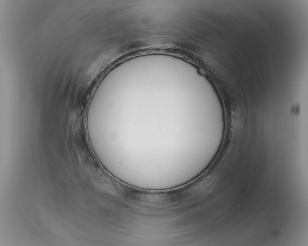 X0000113141257200909251255