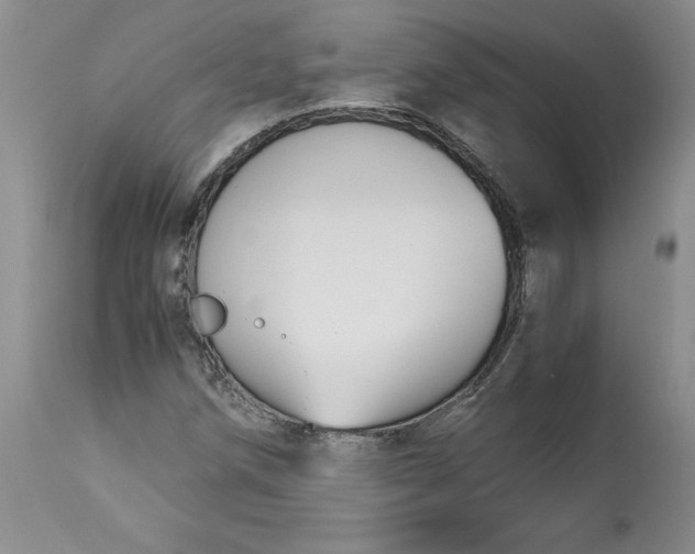 X0000113141258200909251255