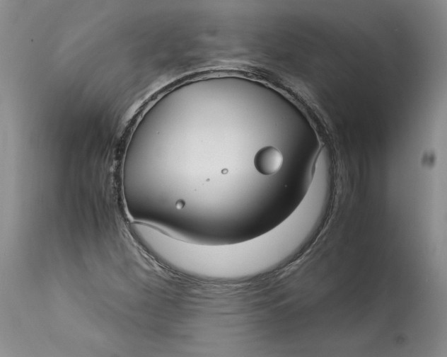 X0000113141260200909251255