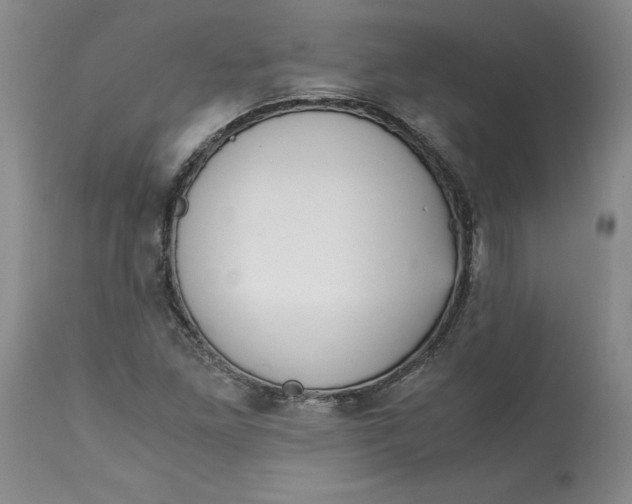 X0000113141261200909251255