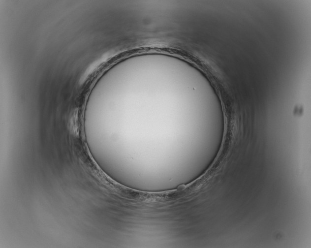 X0000113141262200909251255