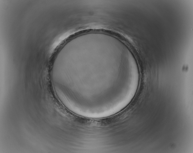 X0000113141263200909251255