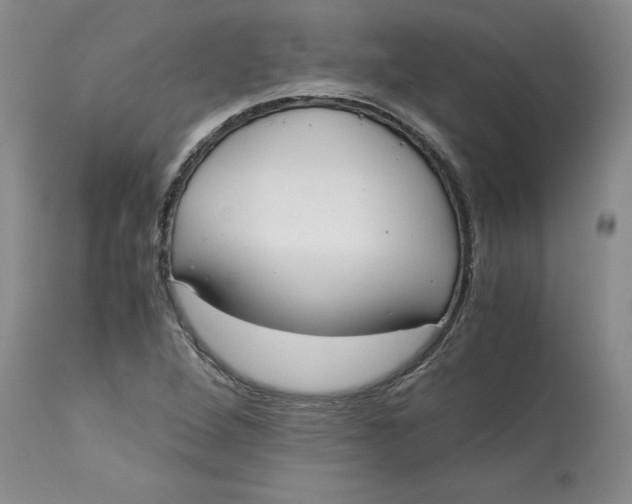 X0000113141264200909251255