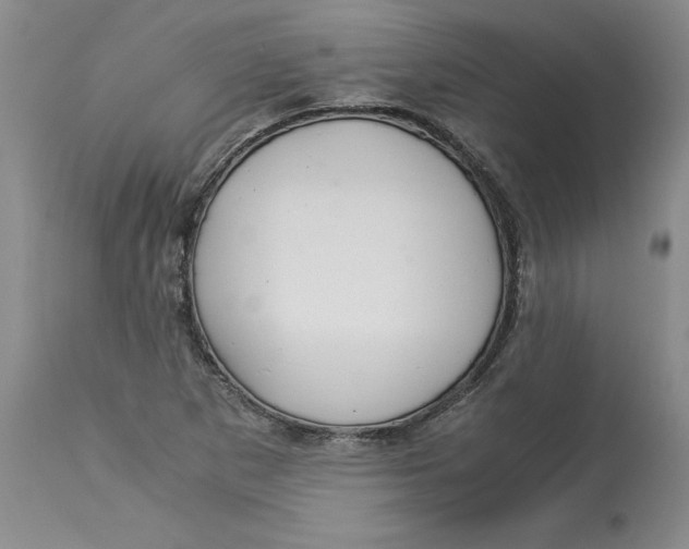 X0000113141265200909251255