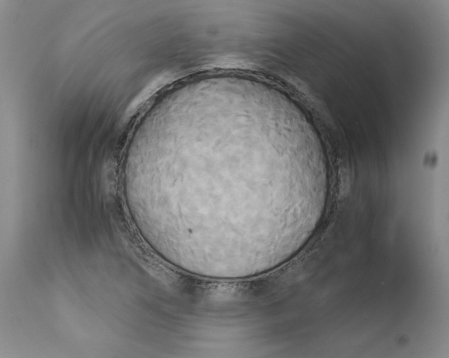 X0000113141266200909251255