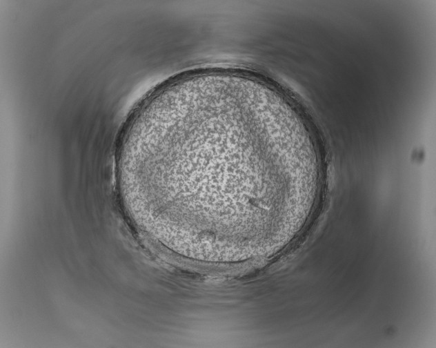 X0000113141267200909251255