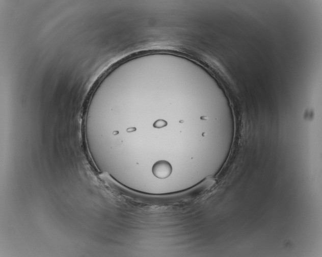 X0000113141268200909251255