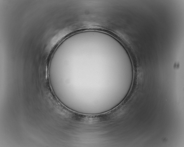 X0000113141269200909251255