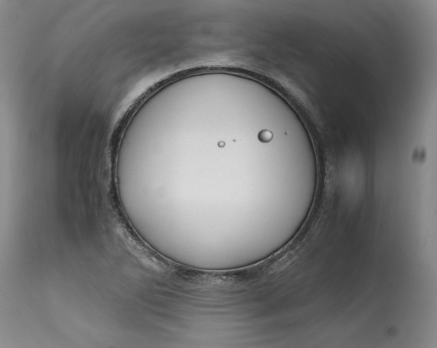 X0000113141270200909251255