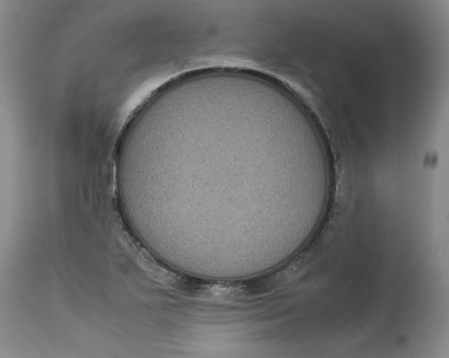 X0000113141271200909251255