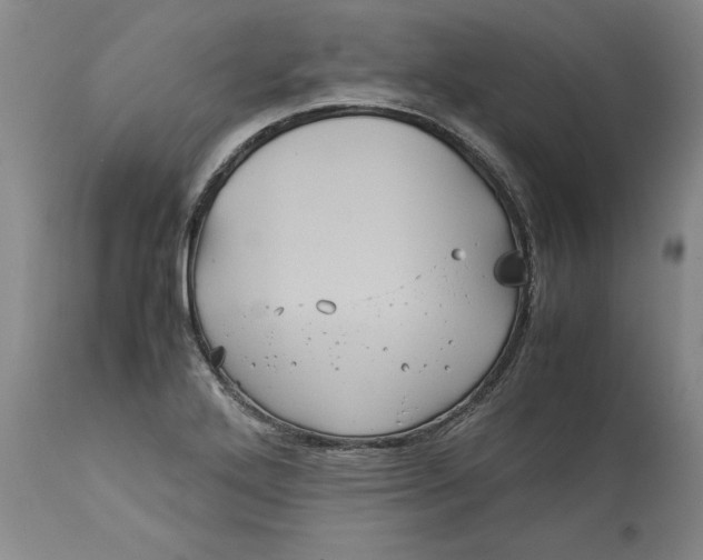 X0000113141272200909251255