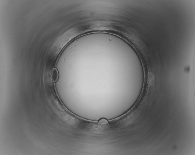 X0000113141273200909251255