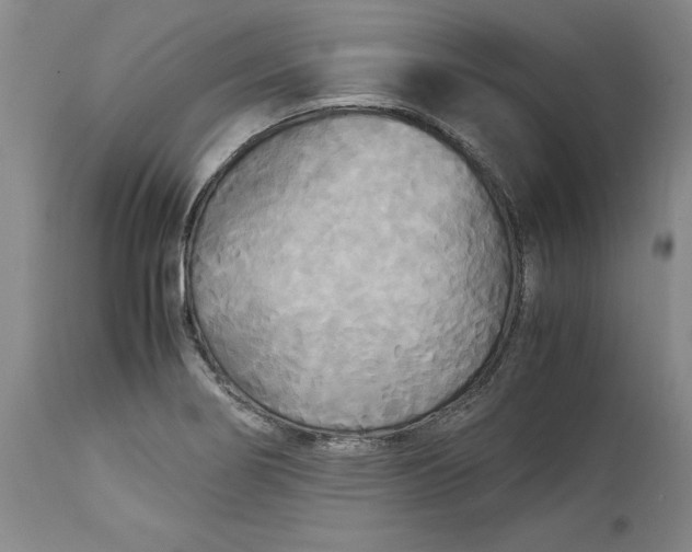 X0000113141274200909251255