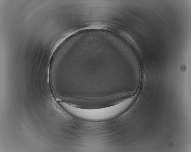 X0000113141276200909251255