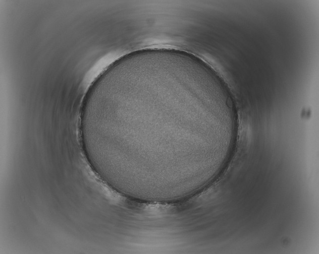 X0000113141277200909251255