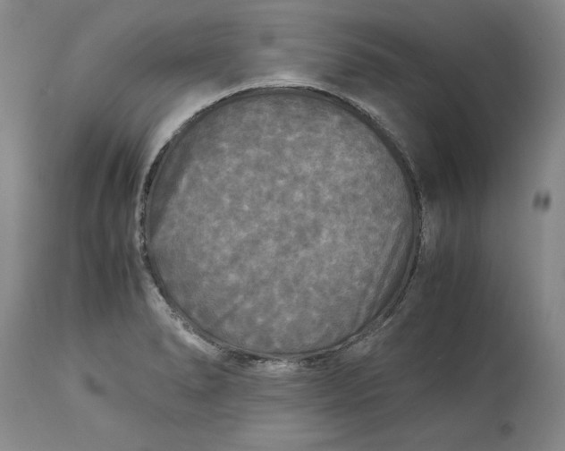 X0000113141278200909251255