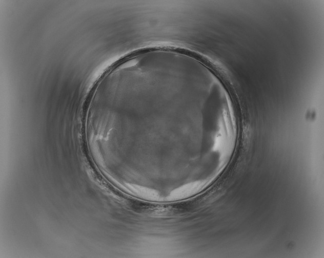 X0000113141279200909251255