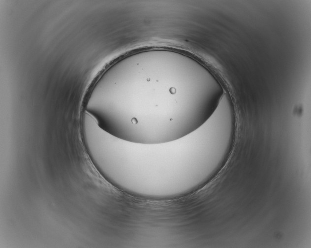 X0000113141280200909251255