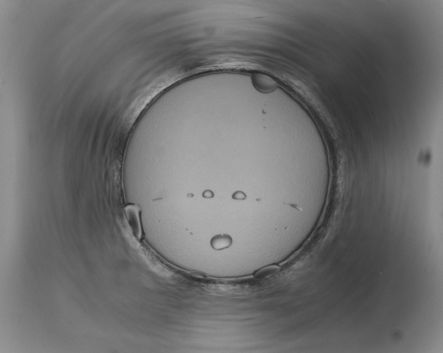 X0000113141281200909251255