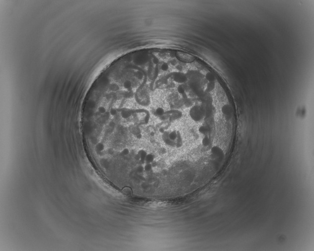 X0000113141283200909251255