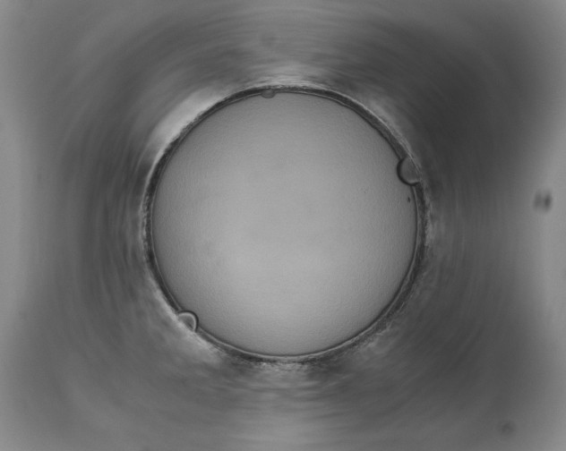 X0000113141285200909251255