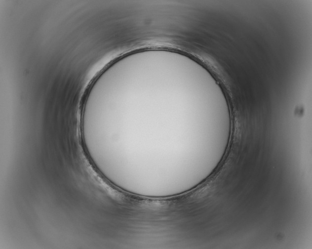 X0000113141286200909251255