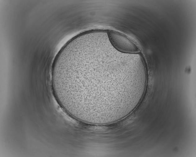 X0000113141287200909251255