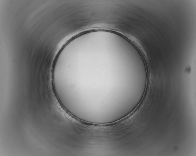 X0000113141288200909251255