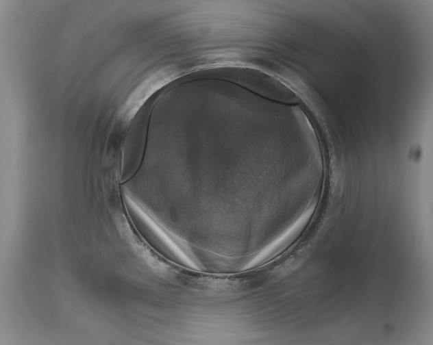 X0000113141289200909251255