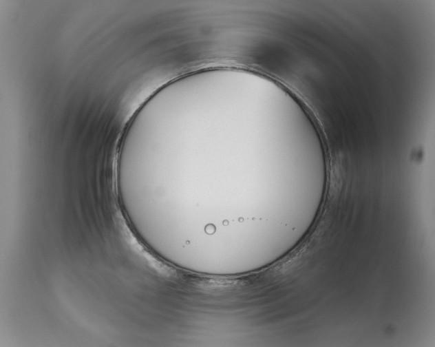 X0000113141290200909251255