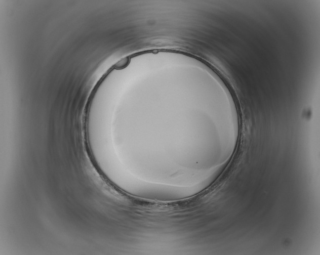 X0000113141291200909251255