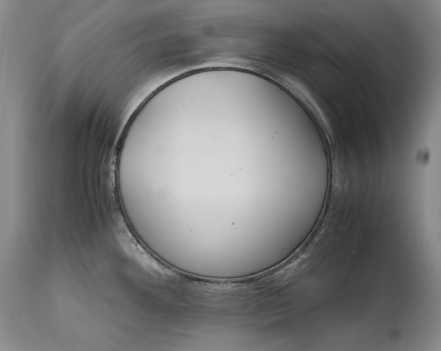 X0000113141292200909251255