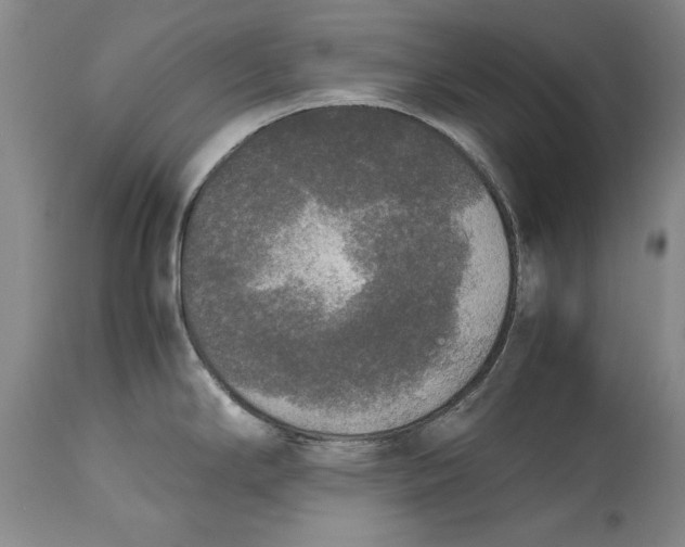 X0000113141294200909251255