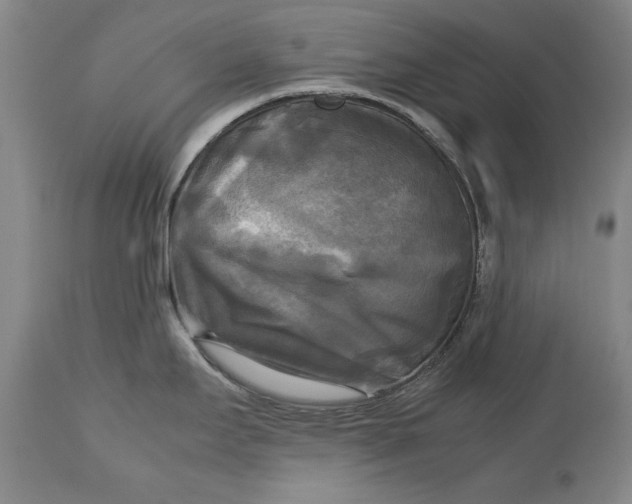 X0000113141295200909251255