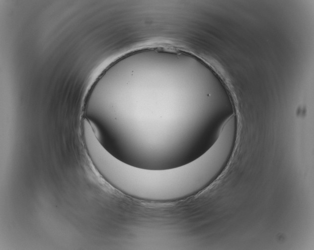 X0000113141296200909251255