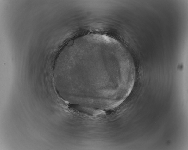 X0000113141297200909251254