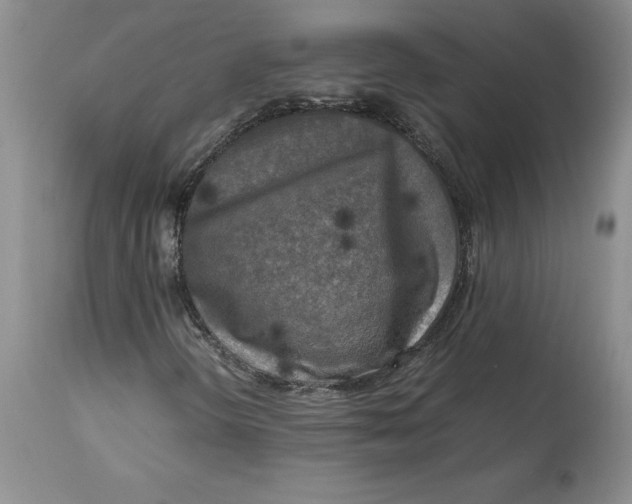 X0000113141298200909251254