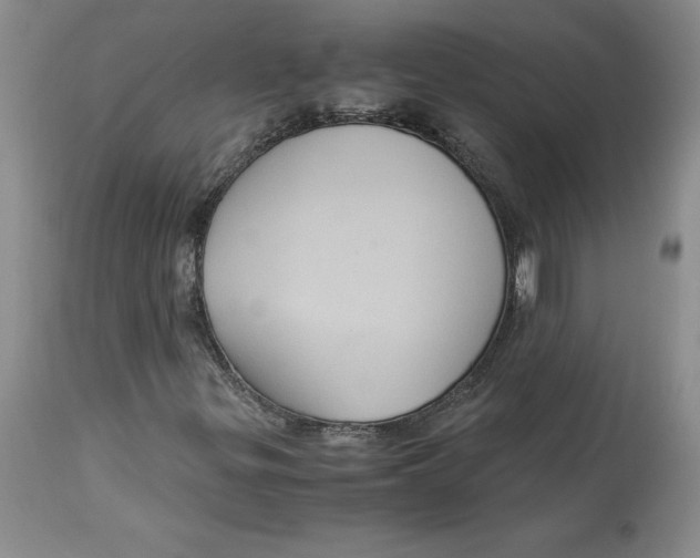 X0000113141299200909251254