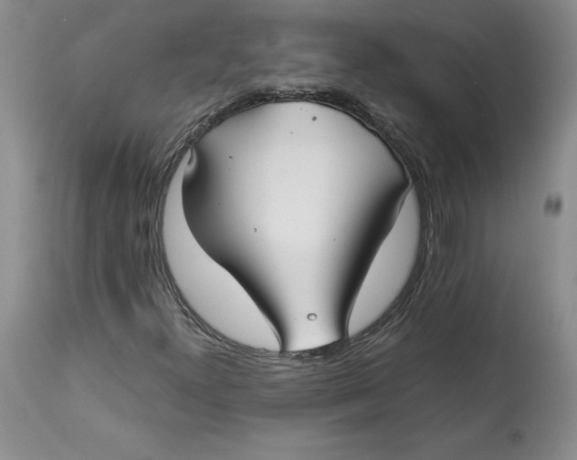 X0000113141300200909251254