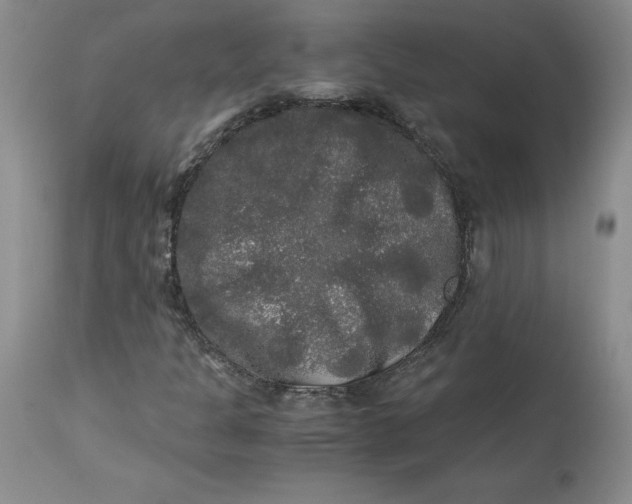 X0000113141301200909251254