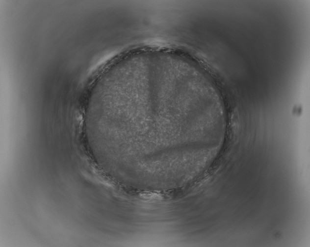 X0000113141302200909251254