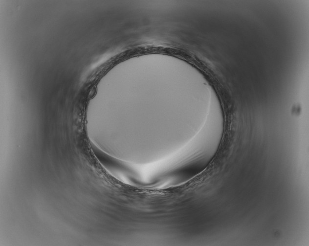 X0000113141303200909251254