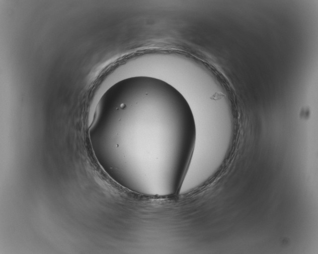 X0000113141304200909251254