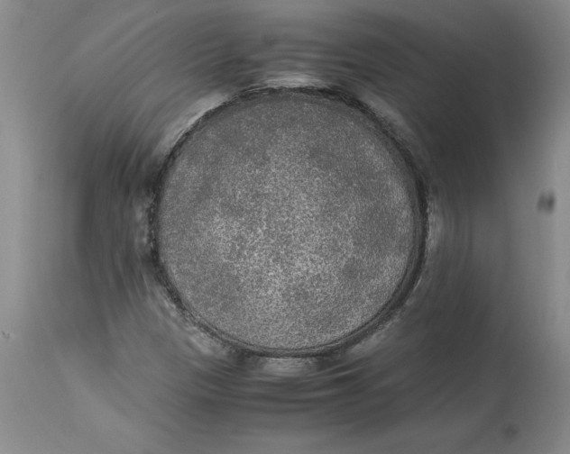 X0000113141305200909251254