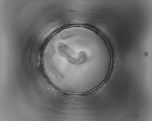 X0000113141306200909251254