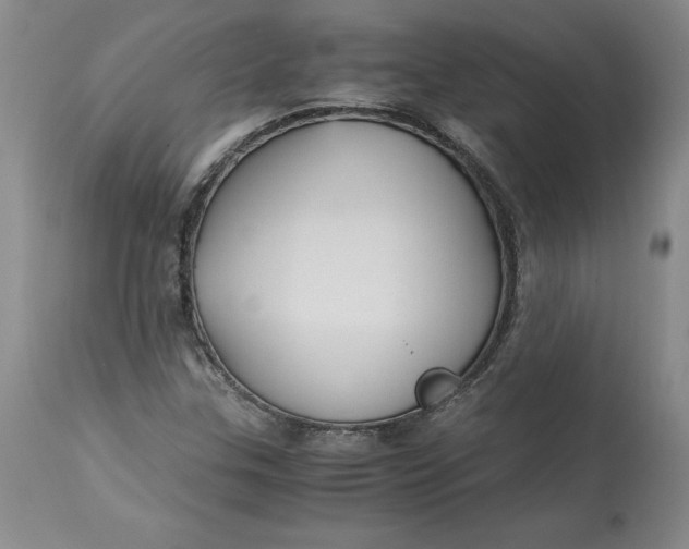 X0000113141307200909251254