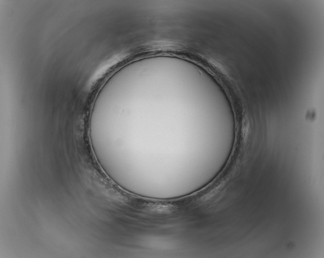 X0000113141309200909251254