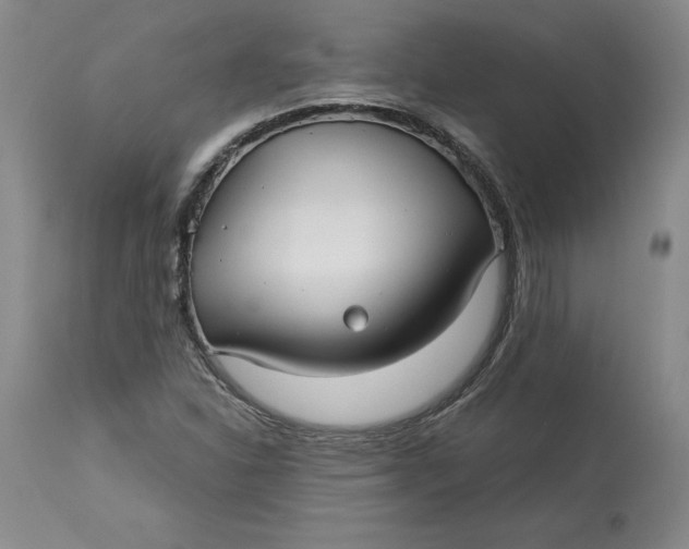 X0000113141310200909251254