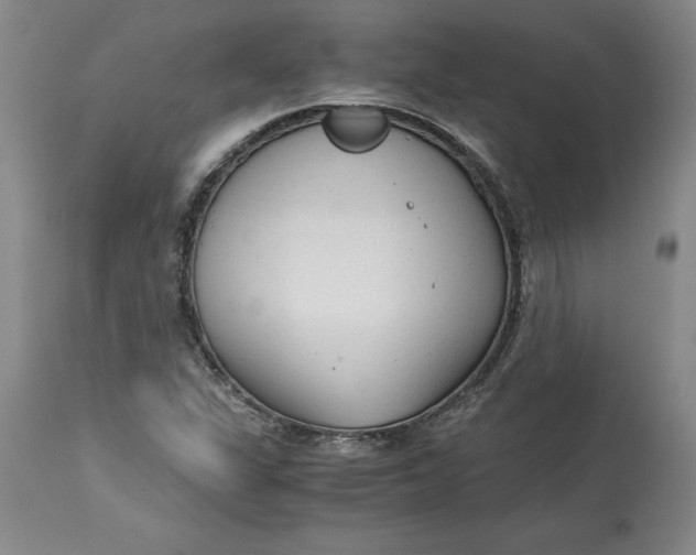 X0000113141311200909251254