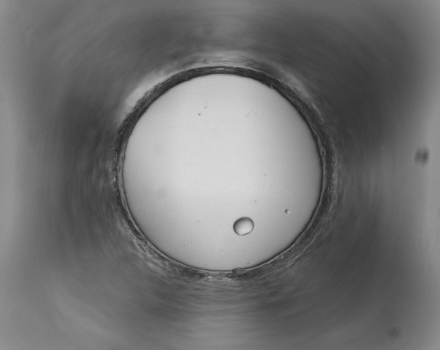 X0000113141312200909251254